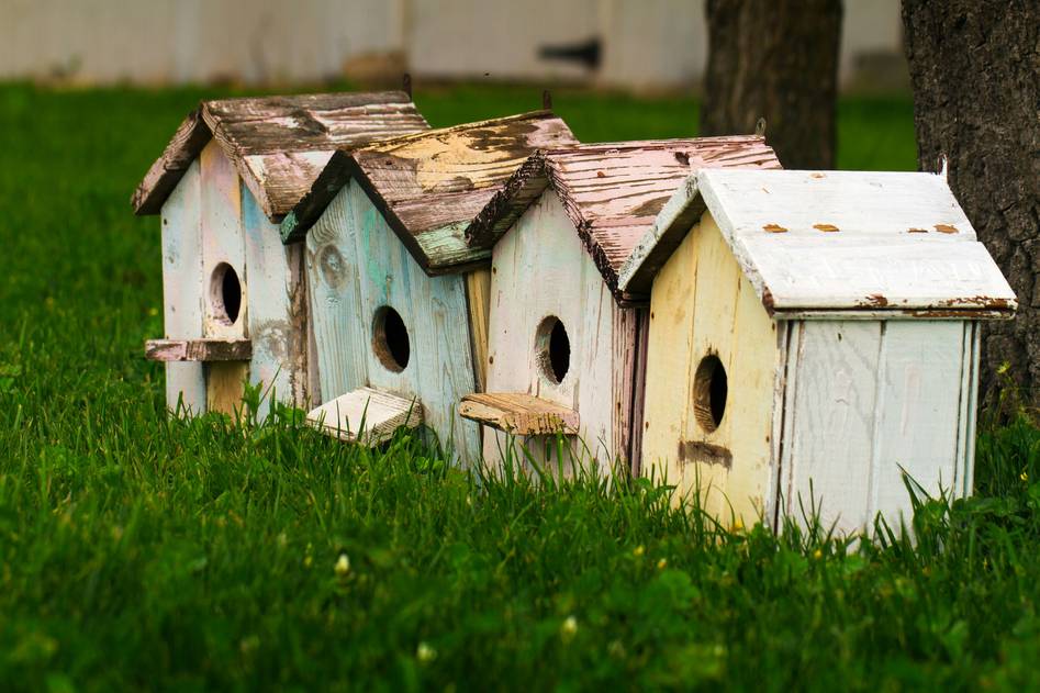 Homepage for Home Improvement Gardening & Outdoor Decor birdhouses
