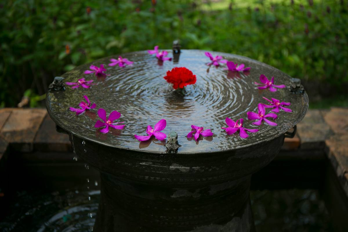 How to Choose the Perfect Outdoor Accent Birdbath Bird Bath That Actually Attracts Birds (Not Just Mosquitoes)