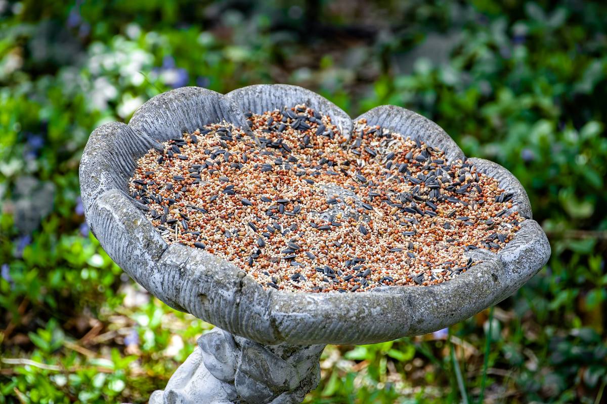 Why Your Garden’s Missing the “Wow” Factor: The Truth About Metal Birdbath Bowls