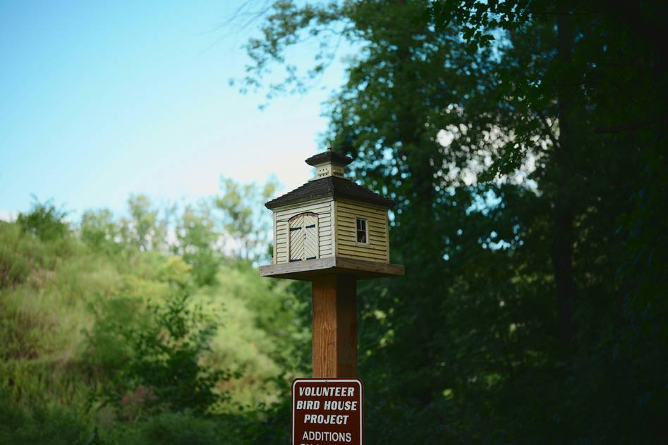 Wooden birdhouse with perched birds in a lush garden setting