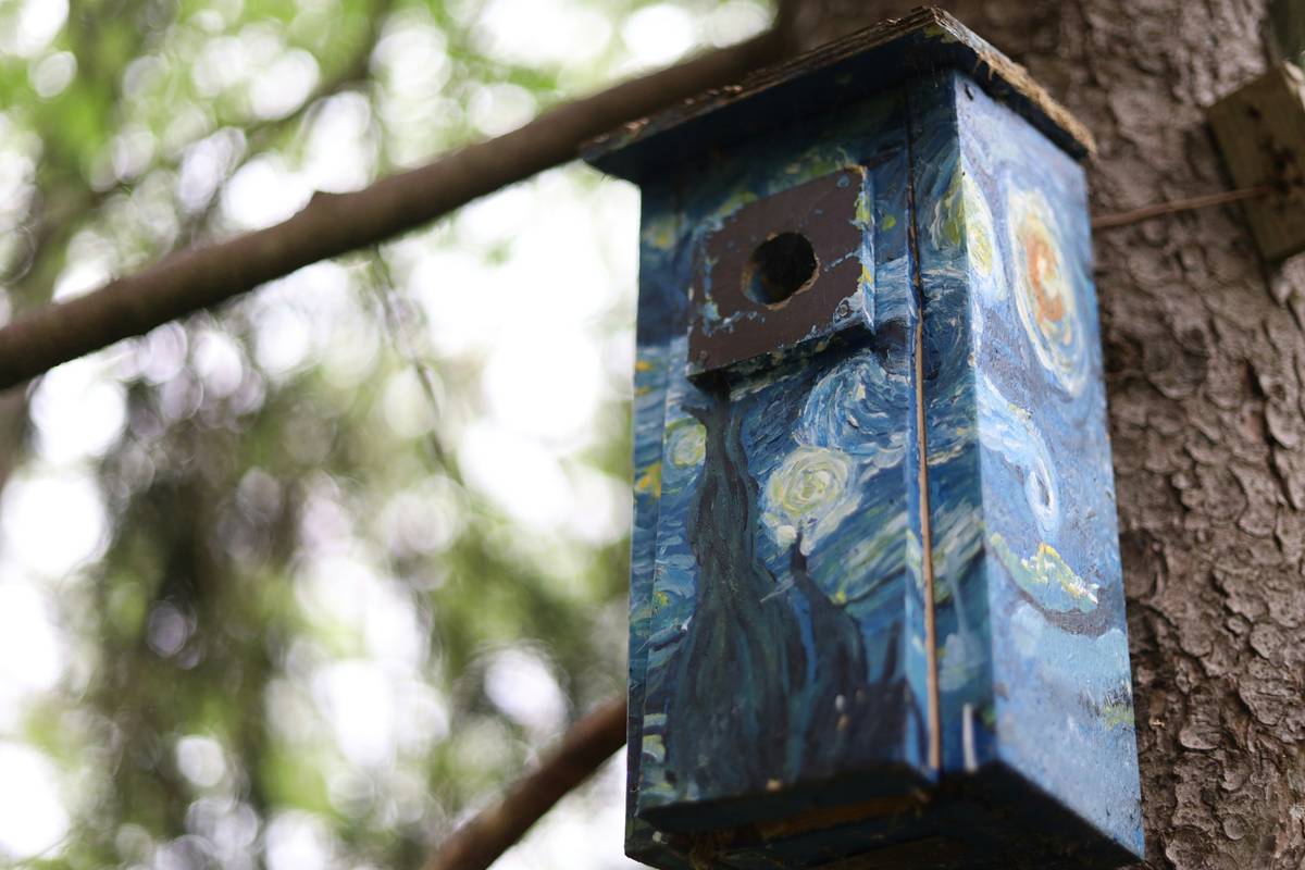 How to Choose & Apply Outdoor Birdbath Paint That Actually Lasts (Without Harming Birds)