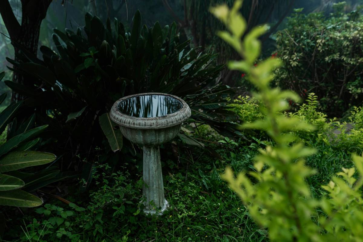 Why Your Garden Needs a Resin Outdoor Birdbath—Not Another Cheap Metal One