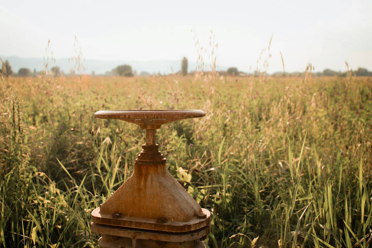 Why Your Metal Birdbath Base Is Failing—And How to Fix It for Good