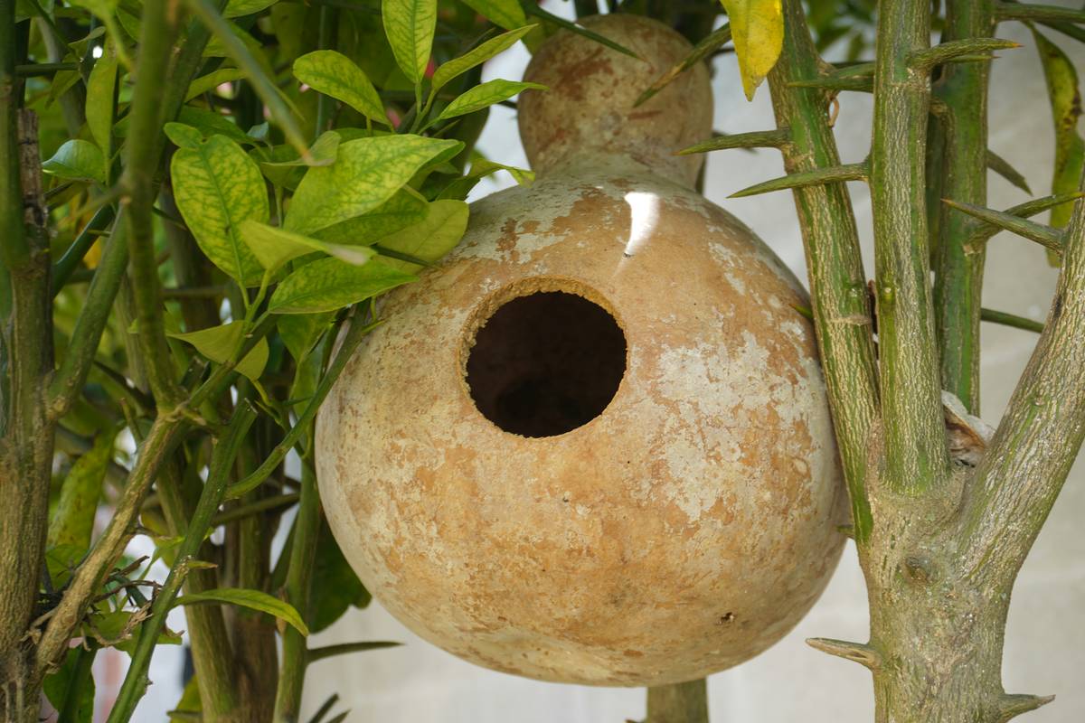 Wildlife Habitat Birdbath How to Give: Turn Your Yard into a Bird Sanctuary (Without the Guesswork)