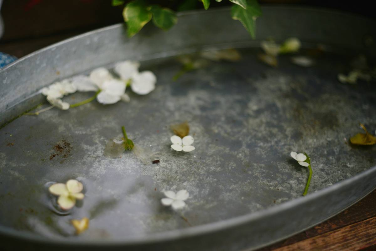 galvanized metal birdbath mounted on a wrought-iron stand in a sunlit garden with wildflowers