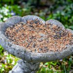 Heavy Metal Birdbath: 7 Proven Tips to Avoid Costly Mistakes