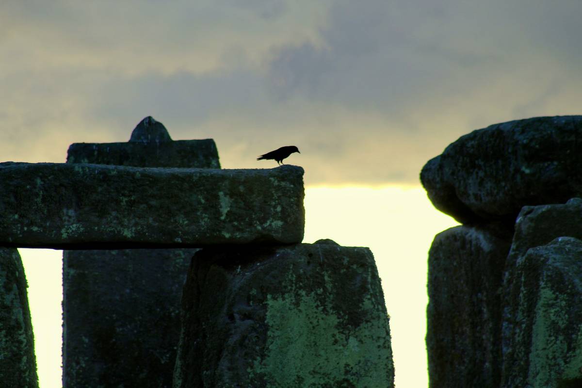 stone birdbath top resting on a wrought-iron pedestal surrounded by lavender and salvia